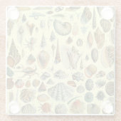 シーシェルシェルモルルスククラムエレガントクラシックアート ガラスコースター (裏面)