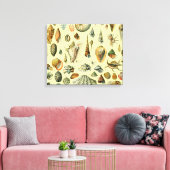 シーシェルシェルモルルスククラムエレガントクラシックアート キャンバスプリント (インサイチュ (リビング))