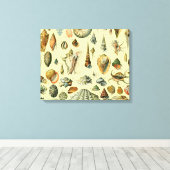 シーシェルシェルモルルスククラムエレガントクラシックアート キャンバスプリント (インサイチュ (ウッドフロア))