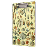 シーシェルシェルモルルスククラムエレガントクラシックアート クリップボード (左)