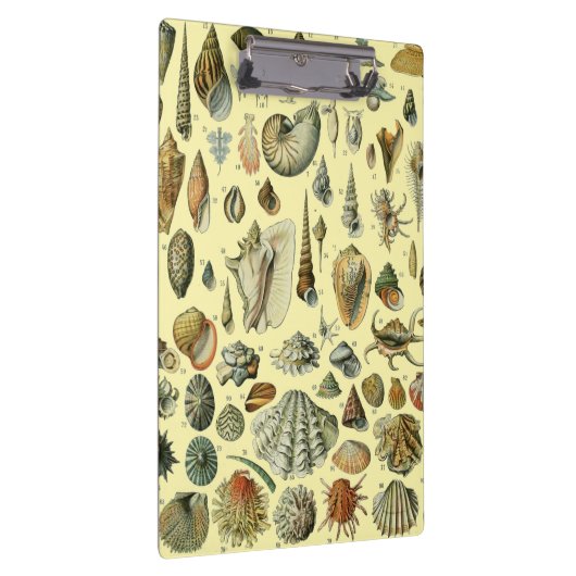 シーシェルシェルモルルスククラムエレガントクラシックアート クリップボード (右)
