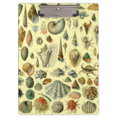 シーシェルシェルモルルスククラムエレガントクラシックアート クリップボード (正面)