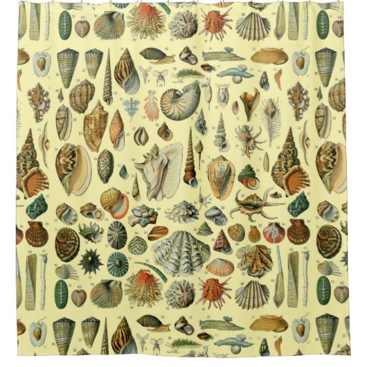 シーシェルシェルモルルスククラムエレガントクラシックアート シャワーカーテン (正面)