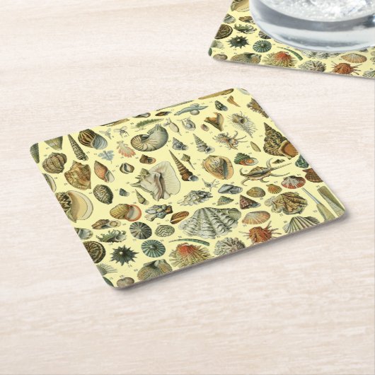 シーシェルシェルモルルスククラムエレガントクラシックアート スクエアペーパーコースター (アングル)