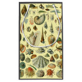 シーシェルシェルモルルスククラムエレガントクラシックアート スモールペーパーバッグ (裏面)