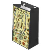 シーシェルシェルモルルスククラムエレガントクラシックアート スモールペーパーバッグ (裏面アングル)