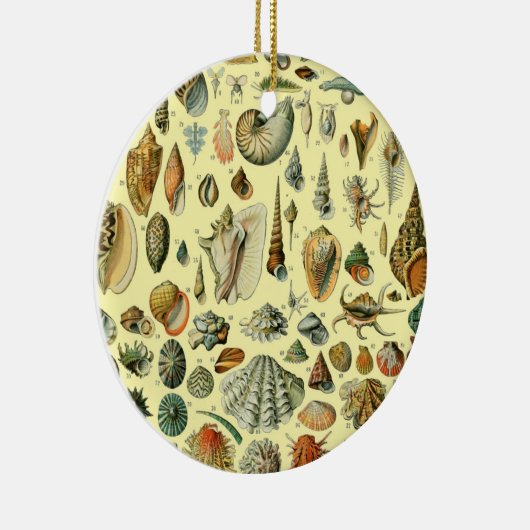 シーシェルシェルモルルスククラムエレガントクラシックアート セラミックオーナメント (右)