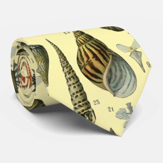 シーシェルシェルモルルスククラムエレガントクラシックアート ネクタイ (ロール)