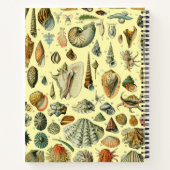 シーシェルシェルモルルスククラムエレガントクラシックアート ノートブック (裏面)