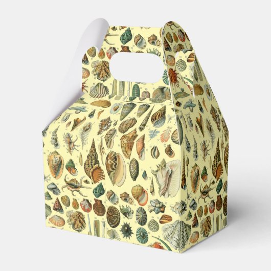 シーシェルシェルモルルスククラムエレガントクラシックアート フェイバーボックス (裏面サイド)