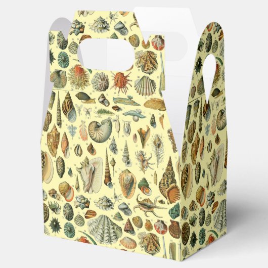 シーシェルシェルモルルスククラムエレガントクラシックアート フェイバーボックス (オープン)