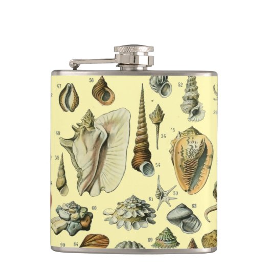 シーシェルシェルモルルスククラムエレガントクラシックアート フラスク (正面)