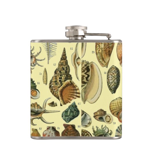 シーシェルシェルモルルスククラムエレガントクラシックアート フラスク (裏面)