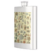 シーシェルシェルモルルスククラムエレガントクラシックアート フラスク (左)