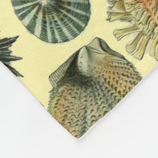 シーシェルシェルモルルスククラムエレガントクラシックアート フリースブランケット (角)