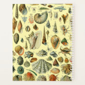 シーシェルシェルモルルスククラムエレガントクラシックアート プランナー手帳 (裏面)