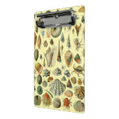 シーシェルシェルモルルスククラムエレガントクラシックアート ミニクリップボード (アングル2)