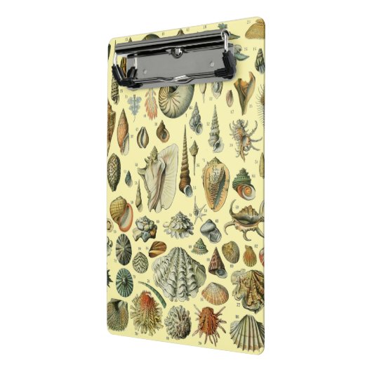 シーシェルシェルモルルスククラムエレガントクラシックアート ミニクリップボード (アングル2)