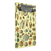 シーシェルシェルモルルスククラムエレガントクラシックアート ミニクリップボード (アングル)