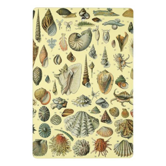 シーシェルシェルモルルスククラムエレガントクラシックアート ミニクリップボード (裏面)