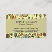 シーシェルシェルモルルスククラムエレガントクラシックアート 名刺 (裏面)