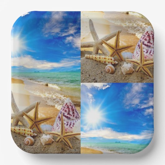 シーシェルスクエア紙プレート ペーパープレート (正面)