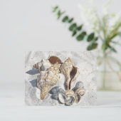 シーシェルズオンザホワイトサンビーチ ポストカード (スタンド正面)