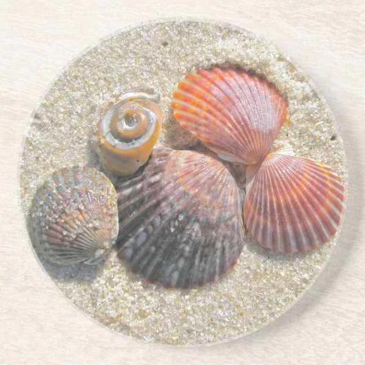 シーシェルズオンビーチコースター コースター (正面)