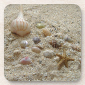 シーシェルズオンビーチサンド コースター (正面)