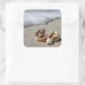 シーシェルズオンビーチ スクエアシール (バッグ)