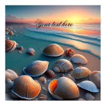 シーシェルズオンビーチ