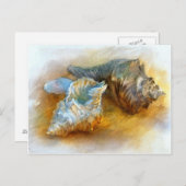 シーシェルズオンビーチ ポストカード (正面/裏面)