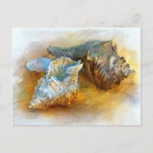 シーシェルズオンビーチ ポストカード (正面)