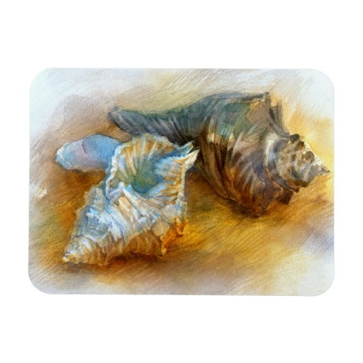 シーシェルズオンビーチ マグネット (横)