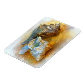 シーシェルズオンビーチ マグネット (左側)