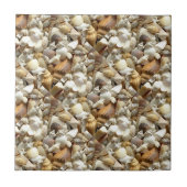 シーシェルズコラージュ タイル (正面)