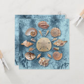 シーシェルズコレクションマンダラ カード (正面/裏面インサイチュ)