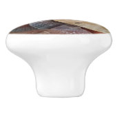 シーシェルズサンドドルビーチテーマ セラミックノブ (側面)