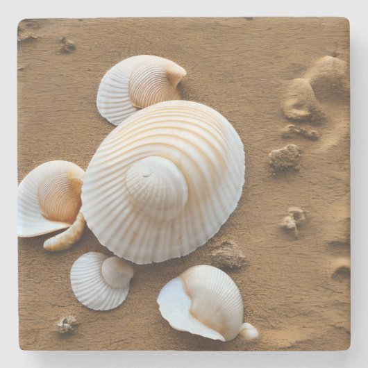 シーシェルズシーライフビーチ海アートデコール ストーンコースター (正面)
