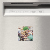 シーシェルズヒトデ&ビーチガラス磁石 マグネット (インサイチュ (食洗機))