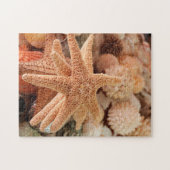 シーシェルズ，メキシコ，ジウアタネホ ジグソーパズル (横)