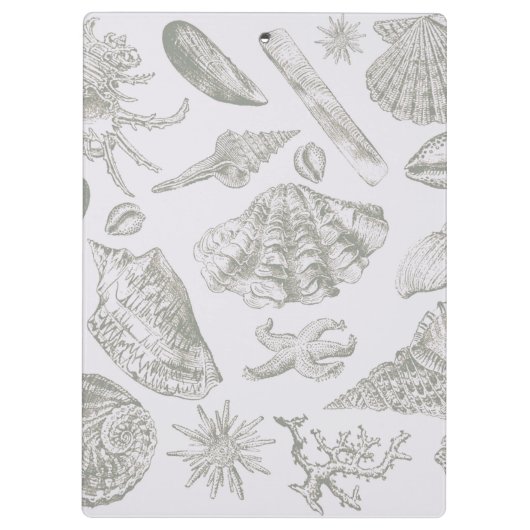 シーシェルソフトアンティークアートビーチシェル クリップボード (裏面)