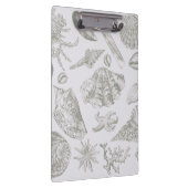 シーシェルソフトアンティークアートビーチシェル クリップボード (右)