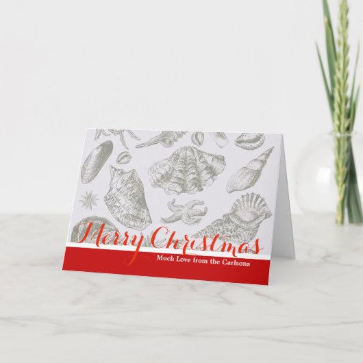 シーシェルソフトアンティークアートビーチシェル シーズンカード (正面)