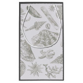 シーシェルソフトアンティークアートビーチシェル スモールペーパーバッグ (裏面)