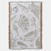 シーシェルソフトアンティークアートビーチシェル スローブランケット (正面縦)