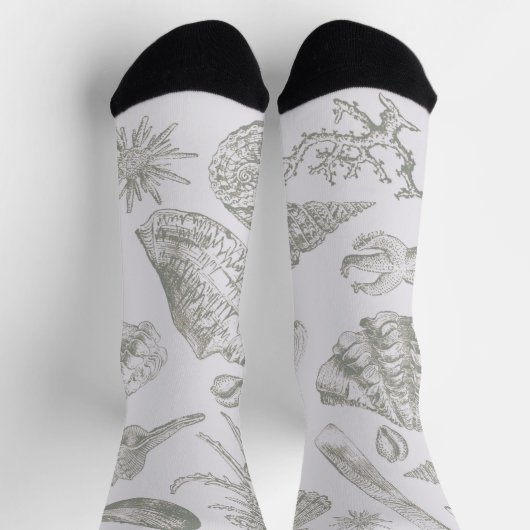 シーシェルソフトアンティークアートビーチシェル ソックス (上部)