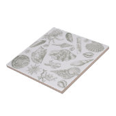 シーシェルソフトアンティークアートビーチシェル タイル (側面)