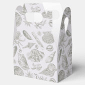 シーシェルソフトアンティークアートビーチシェル フェイバーボックス (オープン)