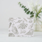 シーシェルソフトアンティークアートビーチシェル ポストカード (スタンド正面)